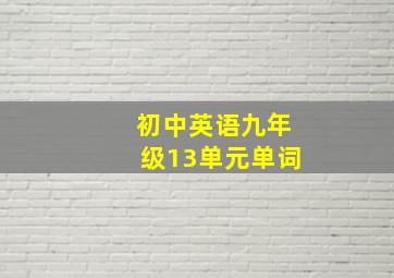 初中英语九年级13单元单词