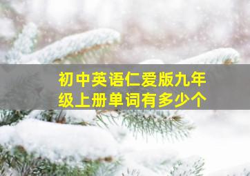 初中英语仁爱版九年级上册单词有多少个