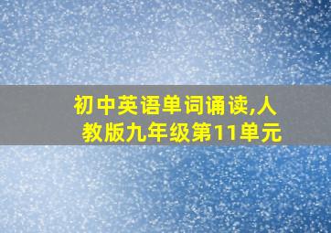 初中英语单词诵读,人教版九年级第11单元