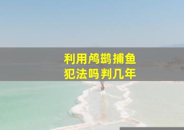 利用鸬鹚捕鱼犯法吗判几年