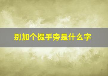 别加个提手旁是什么字