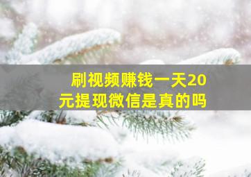 刷视频赚钱一天20元提现微信是真的吗