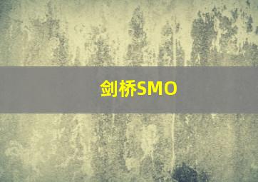 剑桥SMO