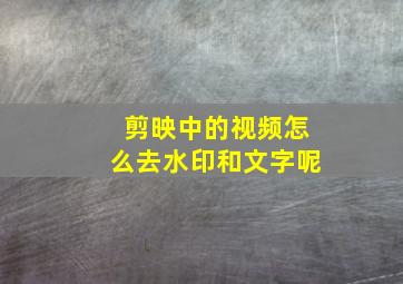 剪映中的视频怎么去水印和文字呢