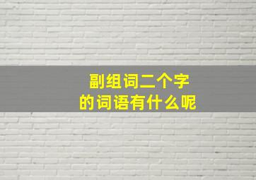 副组词二个字的词语有什么呢