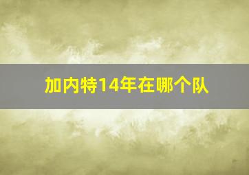 加内特14年在哪个队