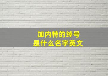 加内特的绰号是什么名字英文