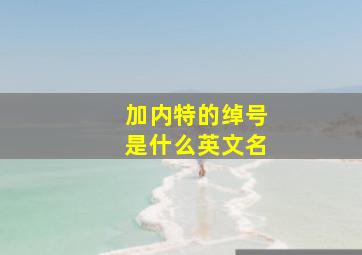 加内特的绰号是什么英文名