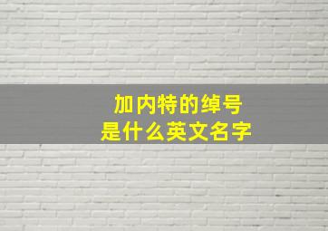 加内特的绰号是什么英文名字