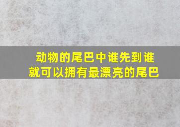 动物的尾巴中谁先到谁就可以拥有最漂亮的尾巴