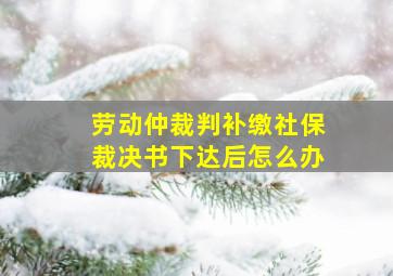 劳动仲裁判补缴社保裁决书下达后怎么办