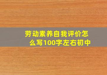 劳动素养自我评价怎么写100字左右初中