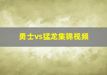 勇士vs猛龙集锦视频