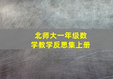 北师大一年级数学教学反思集上册