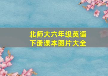 北师大六年级英语下册课本图片大全