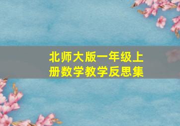 北师大版一年级上册数学教学反思集