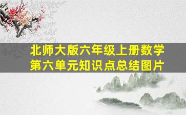 北师大版六年级上册数学第六单元知识点总结图片