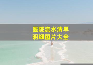 医院流水清单明细图片大全