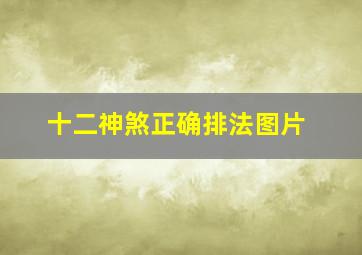 十二神煞正确排法图片