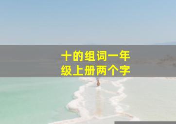 十的组词一年级上册两个字