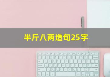 半斤八两造句25字