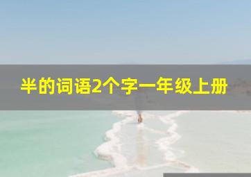 半的词语2个字一年级上册