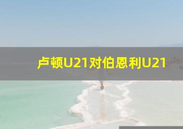 卢顿U21对伯恩利U21