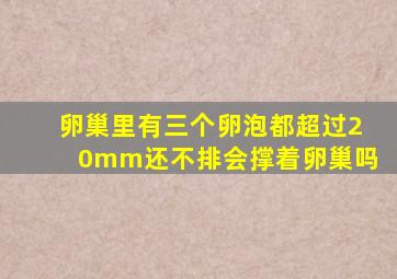 卵巢里有三个卵泡都超过20mm还不排会撑着卵巢吗