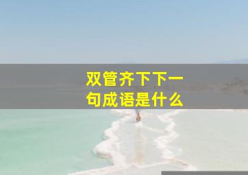 双管齐下下一句成语是什么