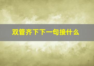 双管齐下下一句接什么