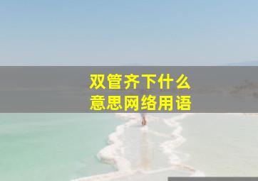 双管齐下什么意思网络用语