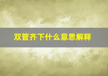 双管齐下什么意思解释