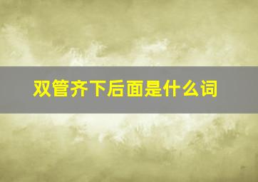 双管齐下后面是什么词