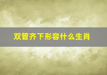 双管齐下形容什么生肖