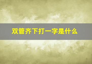 双管齐下打一字是什么