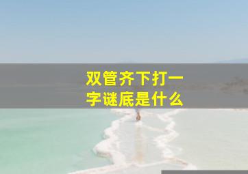 双管齐下打一字谜底是什么