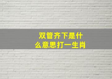 双管齐下是什么意思打一生肖