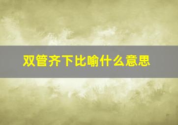 双管齐下比喻什么意思