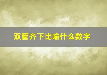 双管齐下比喻什么数字