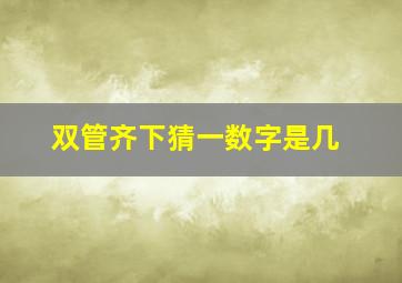 双管齐下猜一数字是几