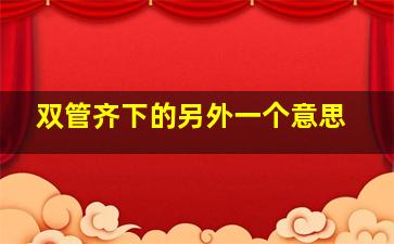 双管齐下的另外一个意思