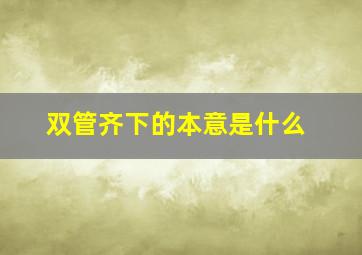 双管齐下的本意是什么