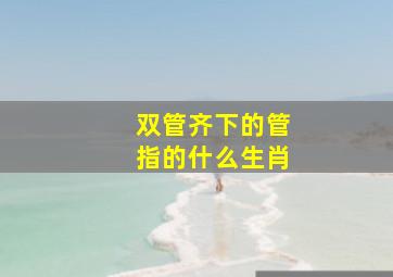 双管齐下的管指的什么生肖