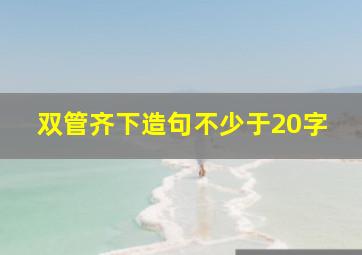 双管齐下造句不少于20字