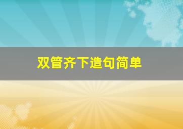 双管齐下造句简单