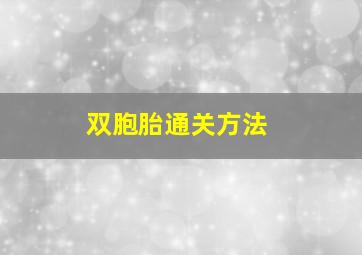 双胞胎通关方法