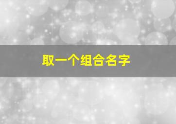 取一个组合名字