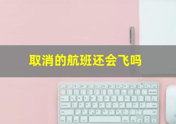 取消的航班还会飞吗