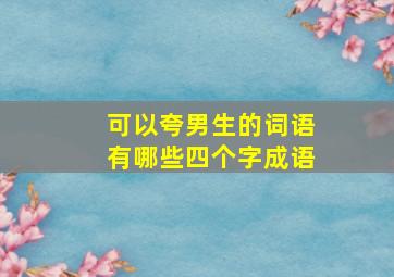 可以夸男生的词语有哪些四个字成语