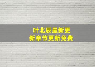 叶北辰最新更新章节更新免费